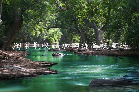 淘寶刷收藏加購(gòu)提高權(quán)重嗎